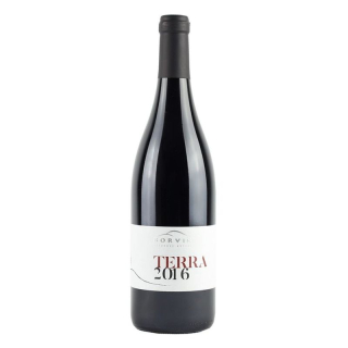 Terra Borvin Bátorove Kosihy