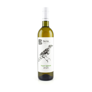 Sauvignon, Berta Strekov