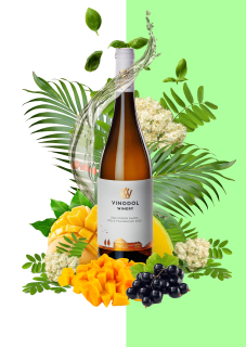 Sauvignon Vinodol Winery