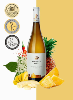 Sauvignon Vinodol Winery