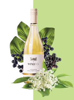 Bazové víno Vinodol Winery