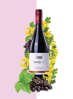 Ríbezľové víno Vinodol Winery