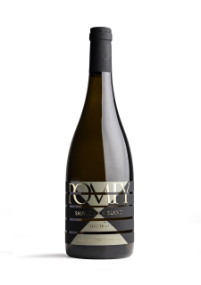 Sauvignon Blanc 2024 X line suché 0,75l